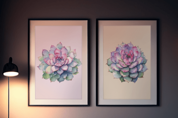 Download Watercolor Succulent Illustration Collec - Premium Bundle