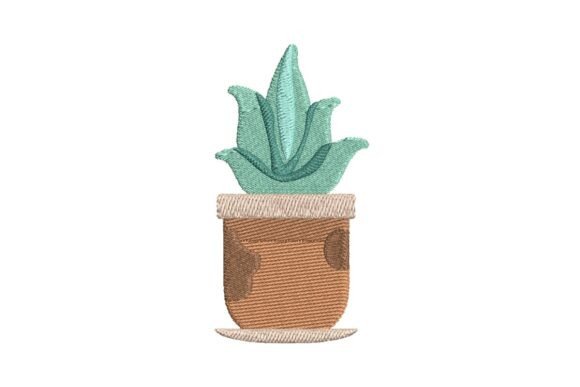Download Potted Aloe Plant - Premium Bundle